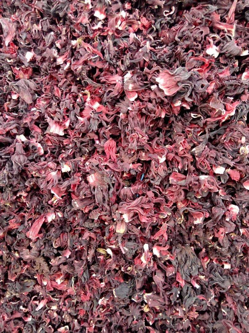 Hibiscus