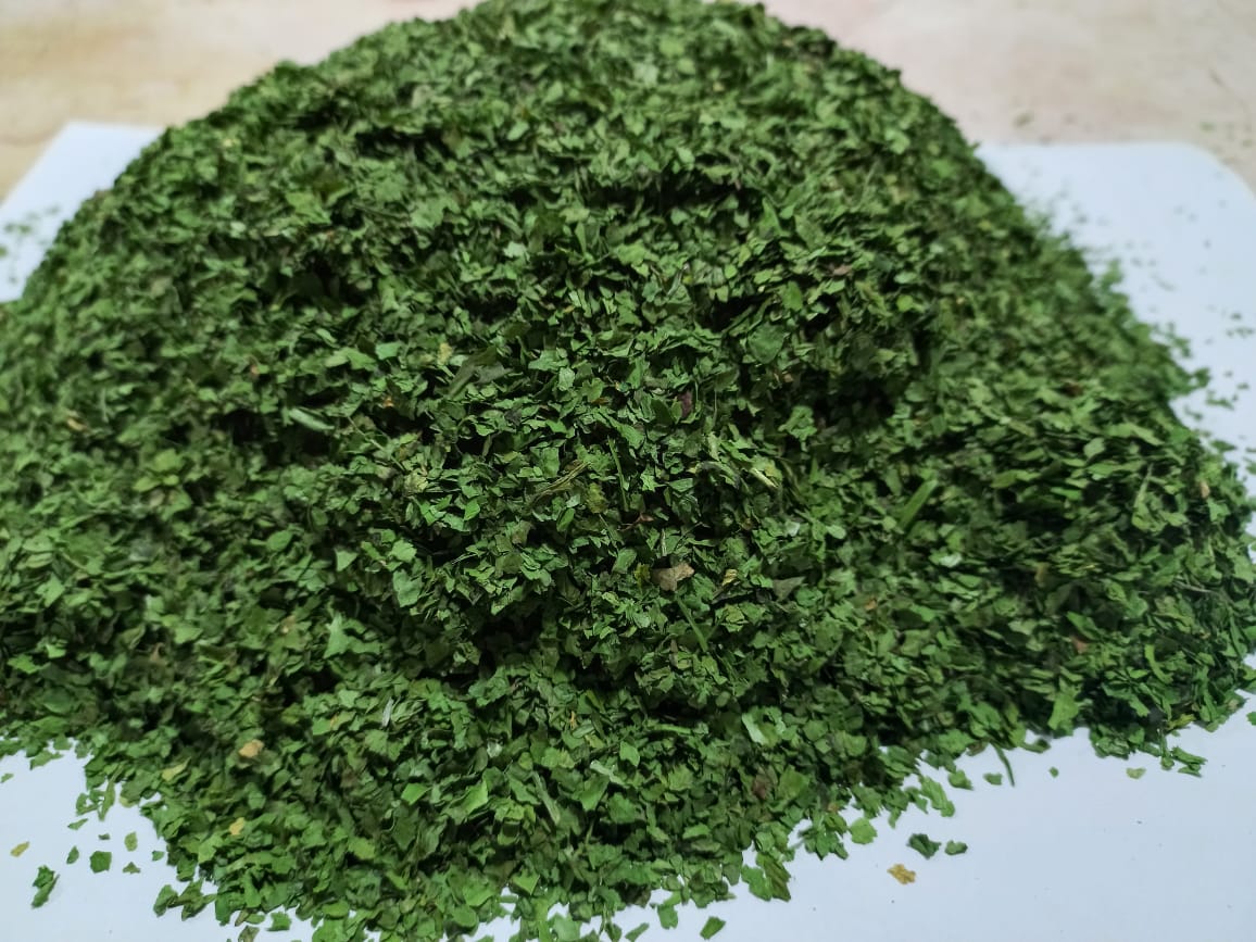 Coriander leaves