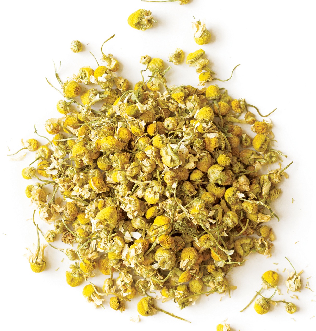 Chamomile Chamomile
