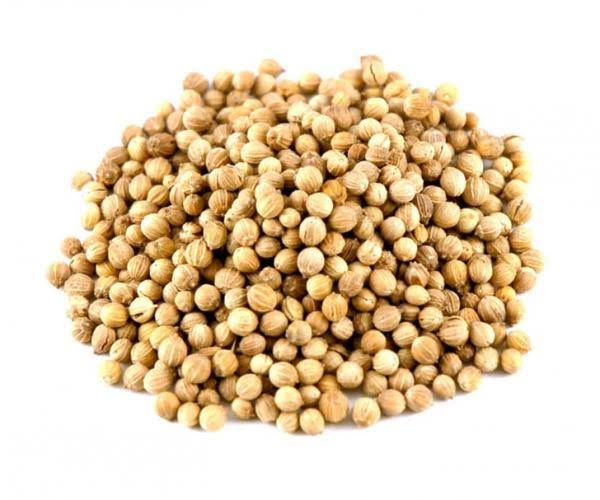 Coriander Coriander