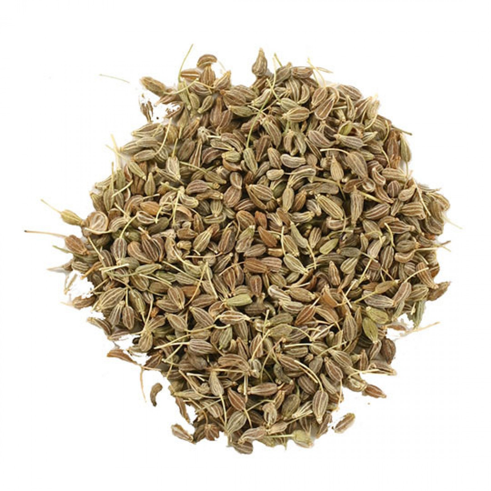 Anise Anise