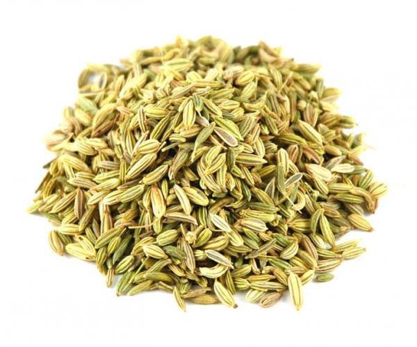 Fennel Fennel