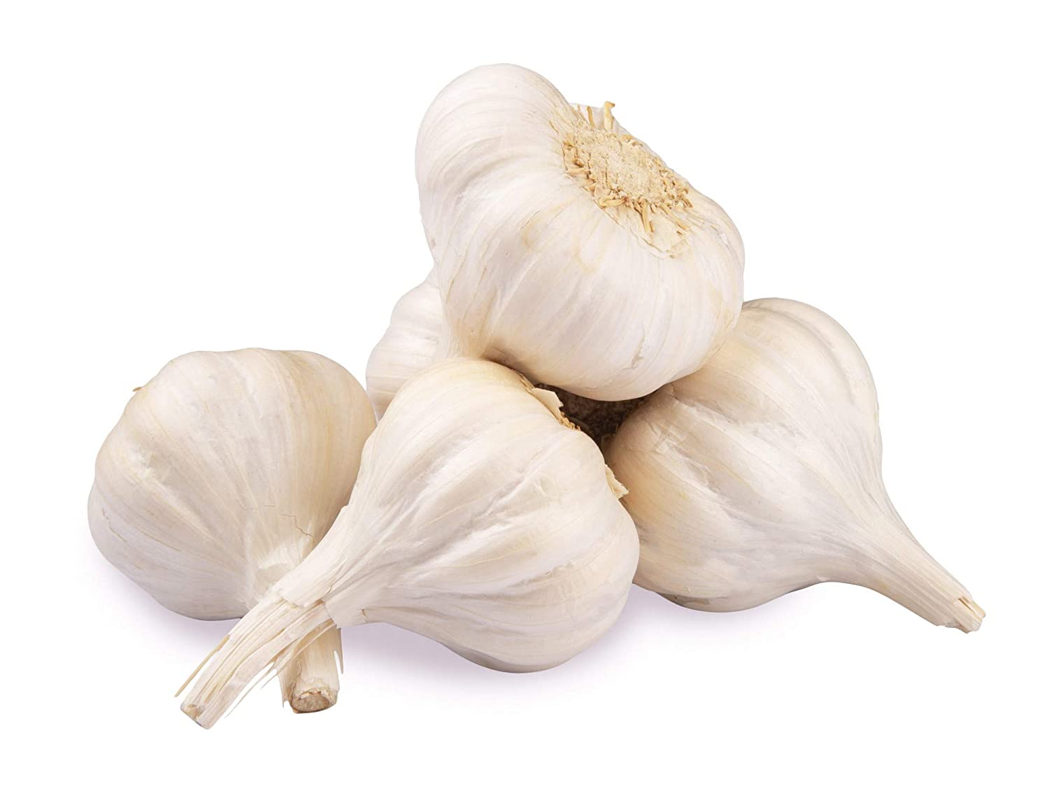 Garlic Garlic