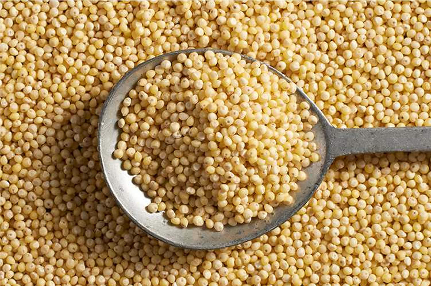 Millet Millet