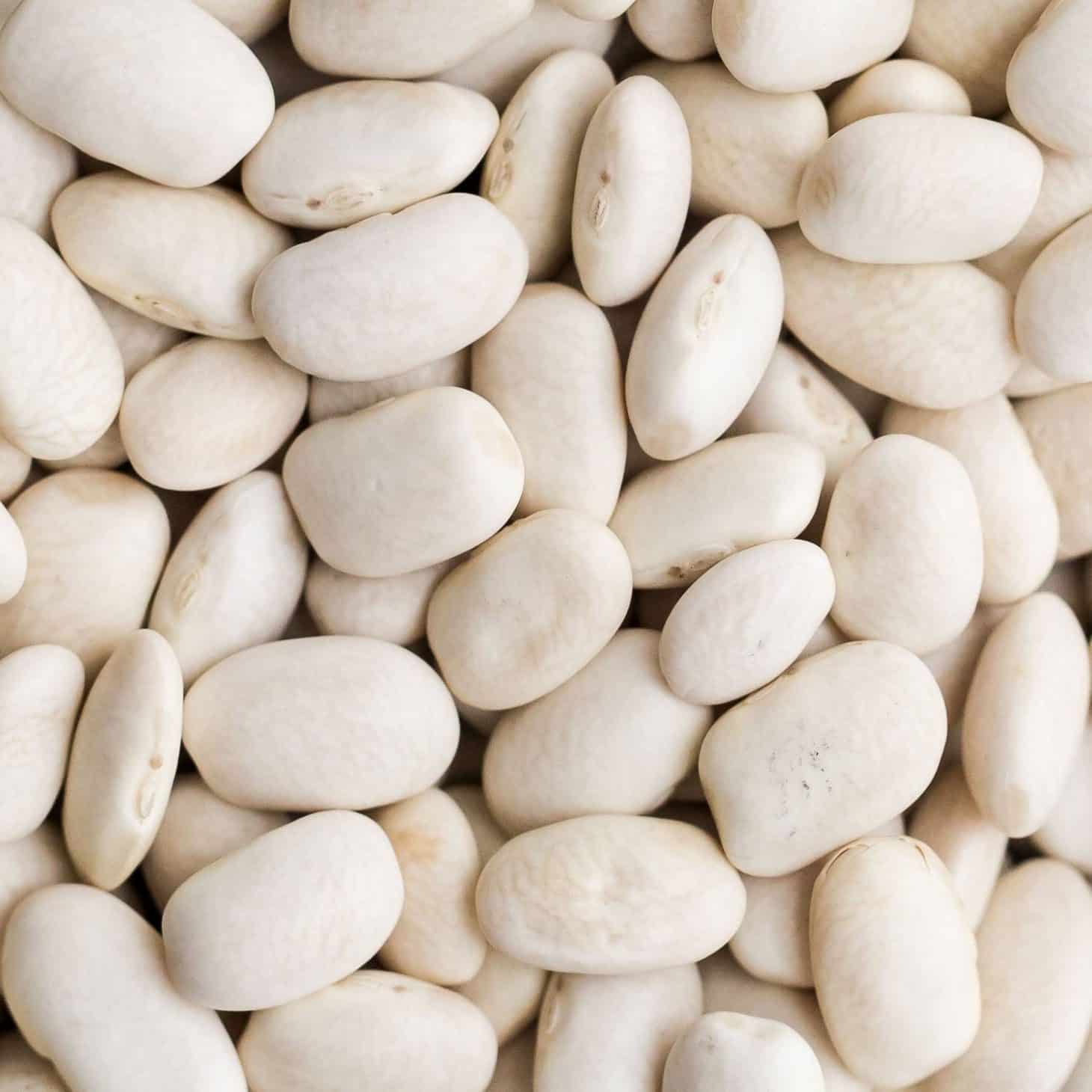 White Beans White Beans