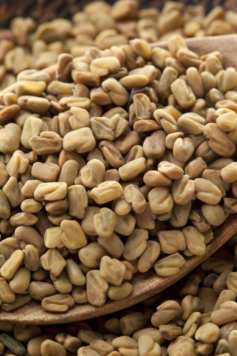Fenugreek Fenugreek