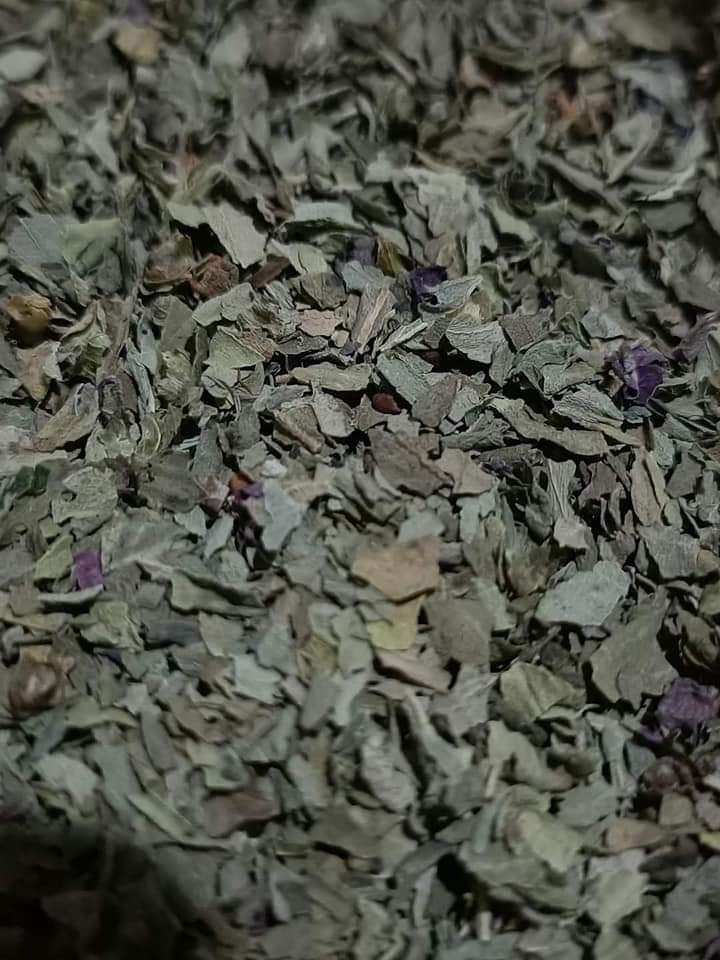 Basil Basil